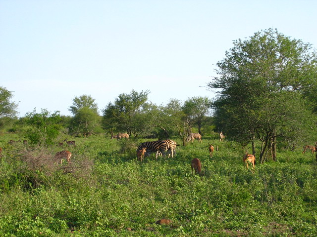 IMG_4268.JPG