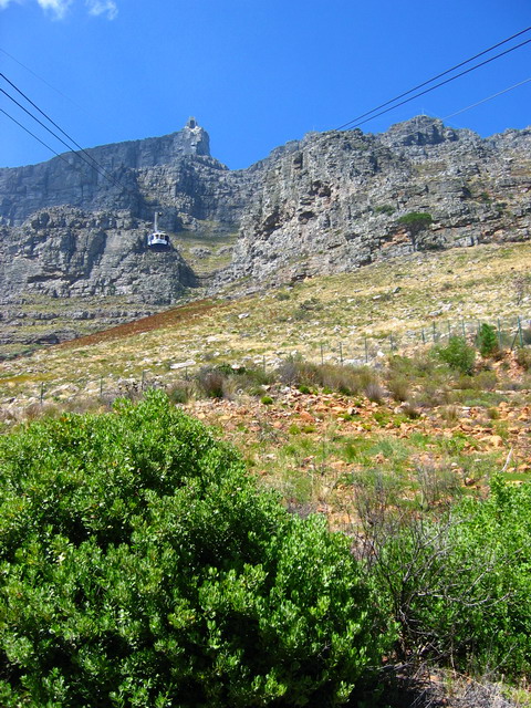 IMG_4400_r1.JPG