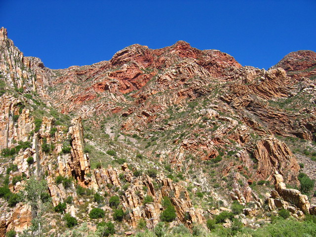 IMG_4511.JPG