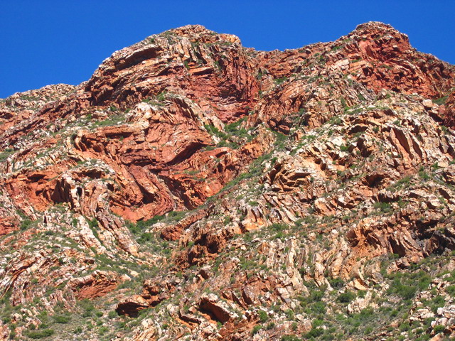 IMG_4512.JPG