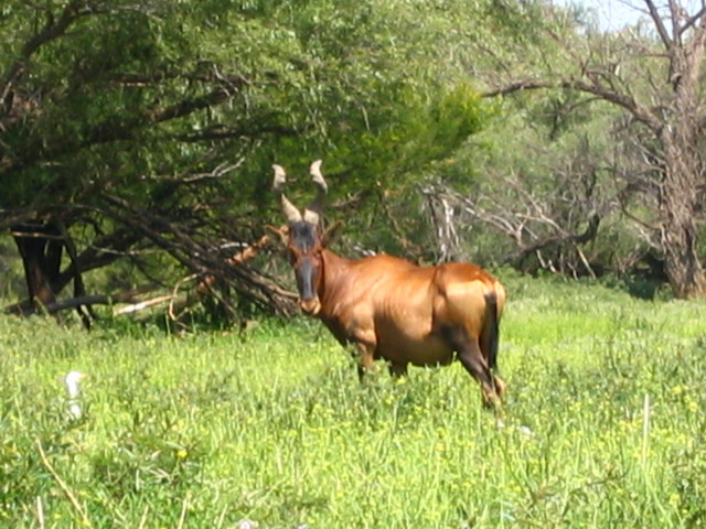 IMG_4554.JPG