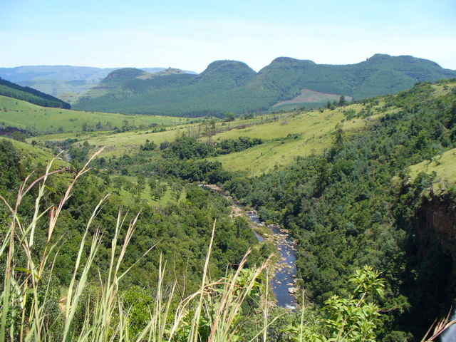 P1010303.JPG