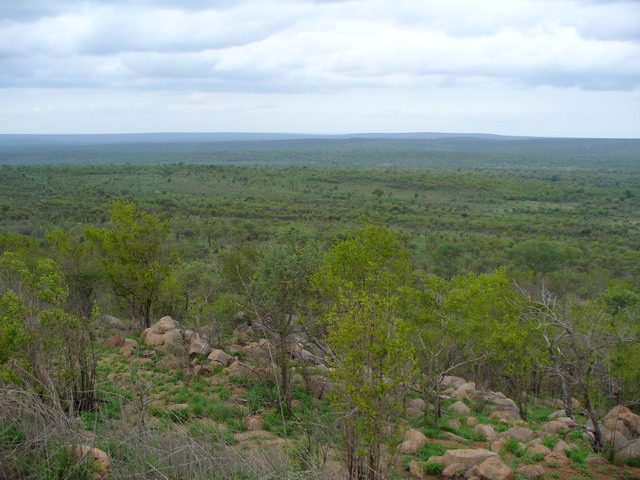 P1010384.JPG