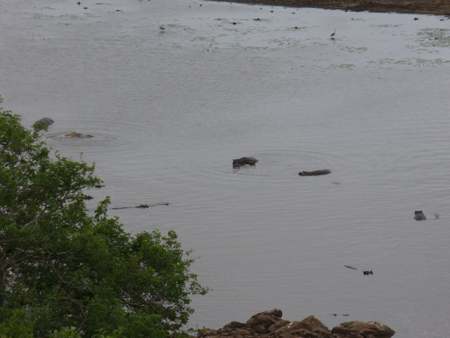 P1010393.JPG