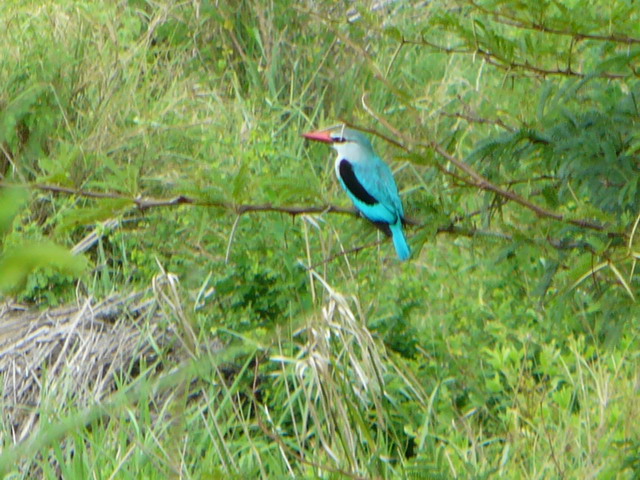 P1010416.JPG