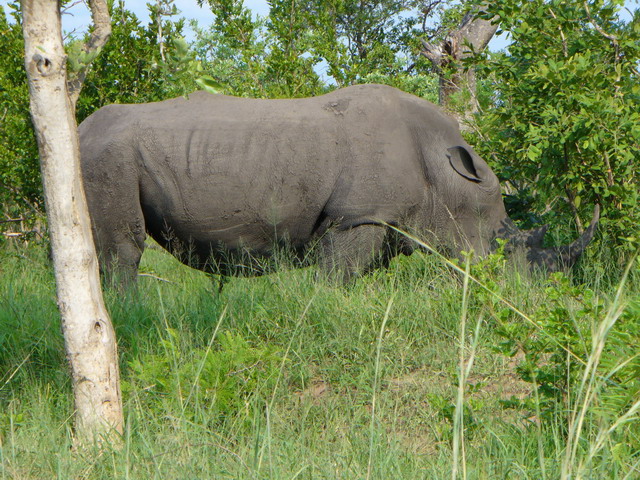 P1010426.JPG