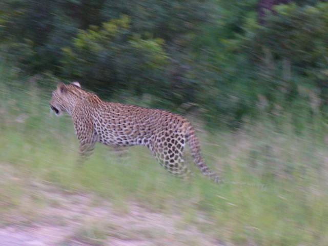 P1010455.JPG