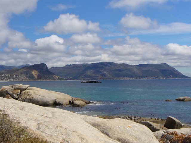 P1010478.JPG