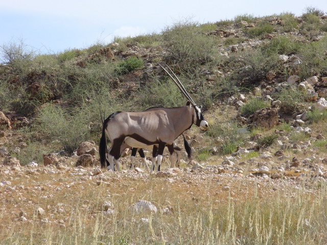 P1010540.JPG
