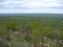 La savane à perte de vue