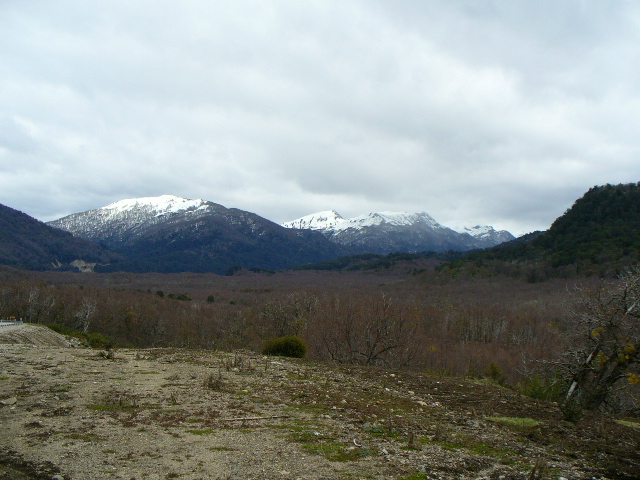 P1000906.JPG