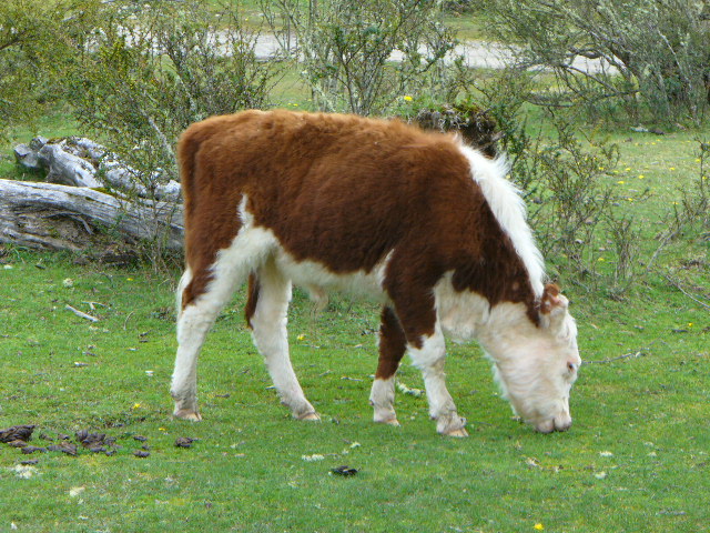 P1000907.JPG