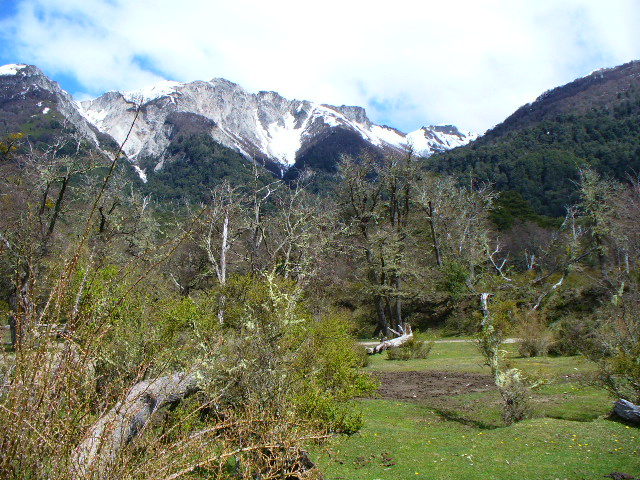 P1000908.JPG