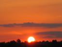 IMG_2499.JPG