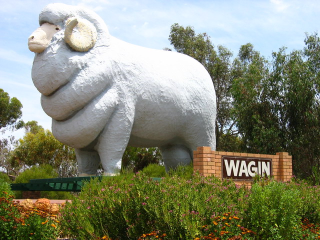 Le bélier géant (et un brin kitsch) du Woolorama