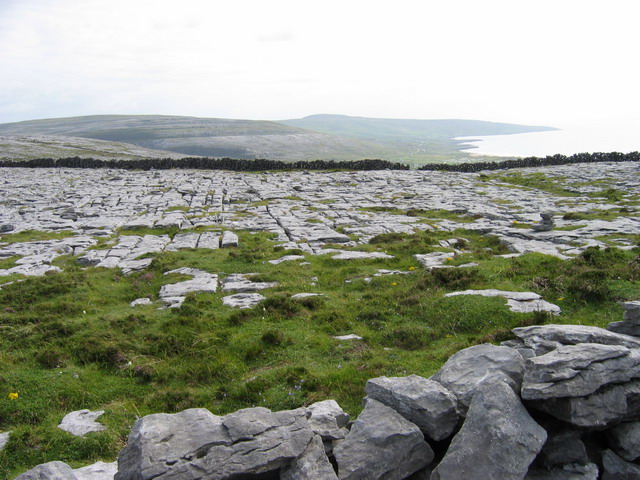 IMG_0088_Burren.jpg