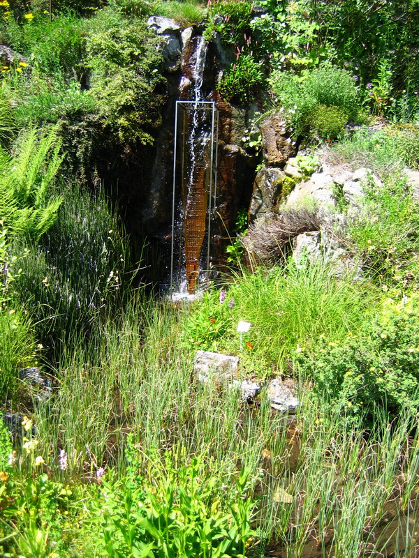 IMG_7739_r1.JPG