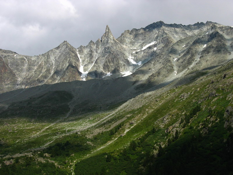 IMG_7803.JPG