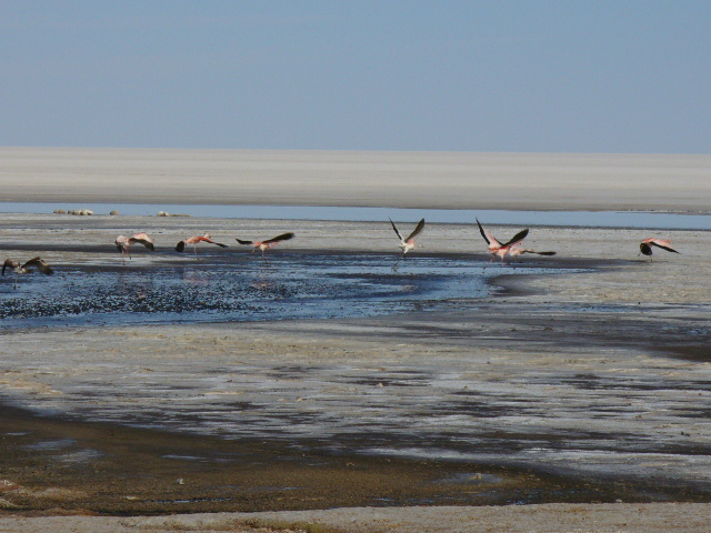 P1000853.JPG