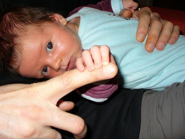 P1010770.jpg