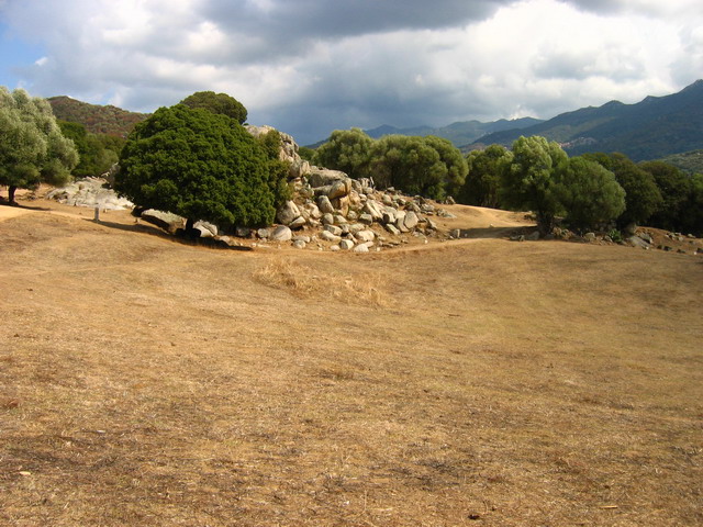 IMG_5371.JPG