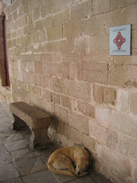 IMG_5423_r1.JPG