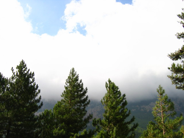 IMG_5470.JPG