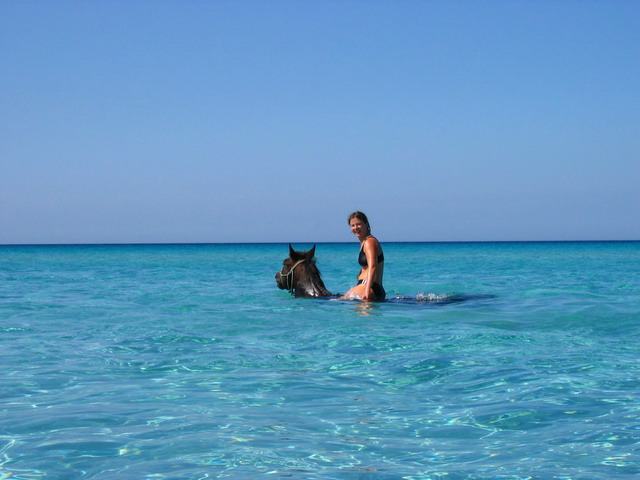 IMG_5552.JPG