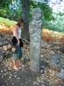 La statue-menhir de Tavella