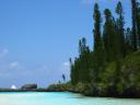 La piscine naturelle