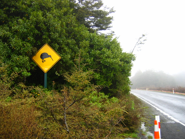 Attention aux kiwis