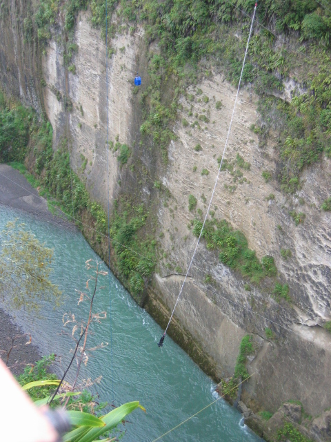 IMG_3384_r1.JPG