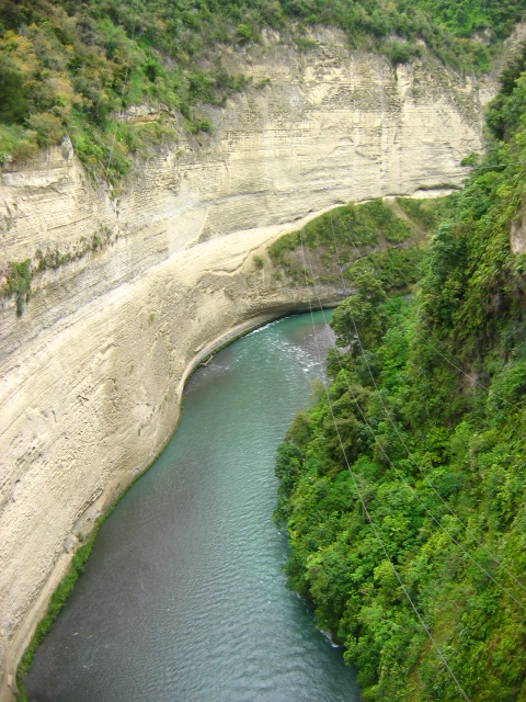 IMG_3397v.JPG
