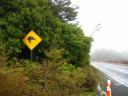 Attention aux kiwis