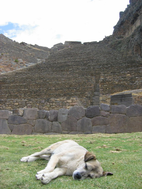 IMG_1806v.jpg