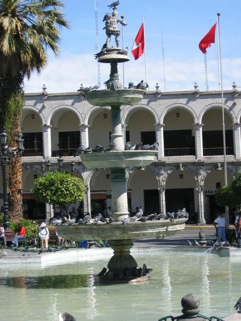 Baignoire à pigeons