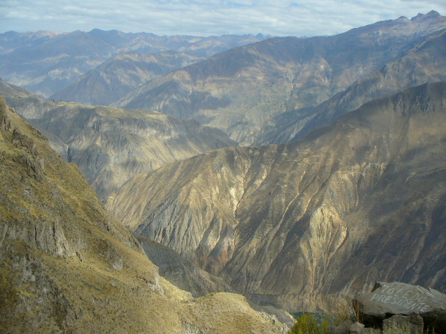 P1000778.JPG