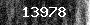 Bot-Check
