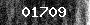 Bot-Check