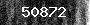 Bot-Check