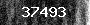 Bot-Check