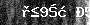Bot-Check