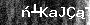 Bot-Check