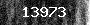Bot-Check