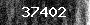 Bot-Check
