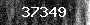 Bot-Check